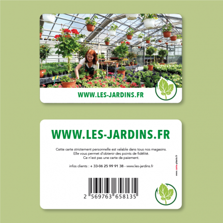 Carte ECOLOGIQUE en Carton