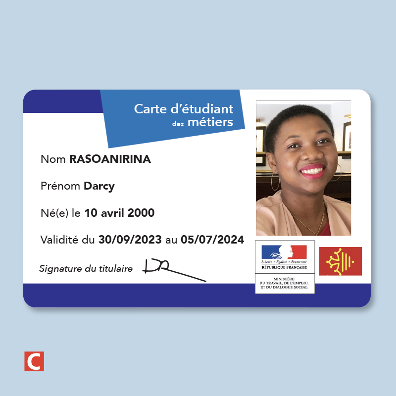 50 ex. Carte ENSEIGNEMENTS - Collège - Lycée - CFA - Université