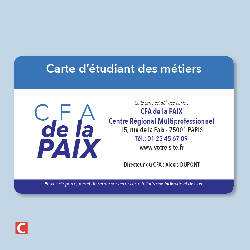 50 ex. Carte ENSEIGNEMENTS - Collège - Lycée - CFA - Université
