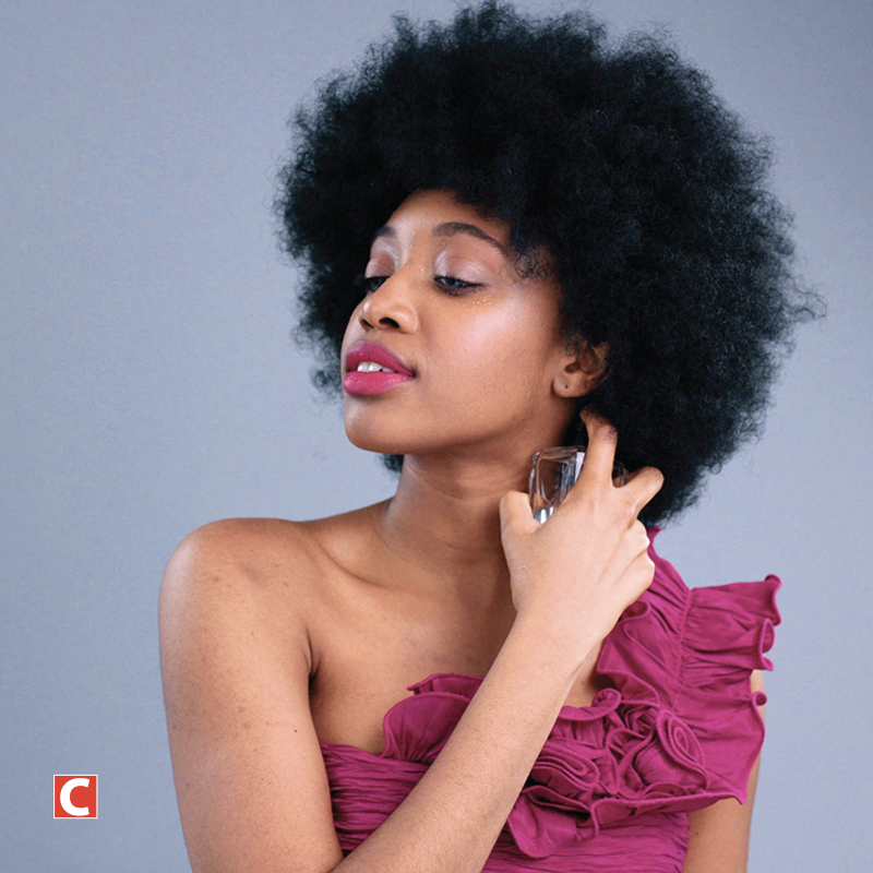 100 ex. Carte Fidélité - Club sportif - Commerce de détail / gros - Distribution